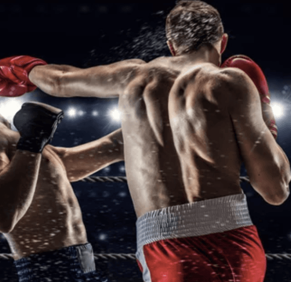 Championship Fight Night